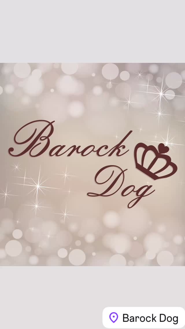 Herbstzeit ist Karozeit. Mac Dog ist genau das richtige für die Herbsttage🍁 Ob rot, braun, blau, beige. Wir haben den perfekte Farbe für deinen Liebling. 
Schaut in unseren Shop vorbei www.barockdog.de

#hundehalstuch #hundehalstücher #dogbandana #karo #kariert #hundemode #herbstfeeling #hundeaccessoires #hundezubehör #fashiondog #dogshop #herbst #tartan #burberrystyle