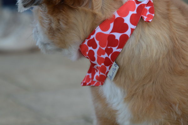 Hundeshop Barock Dog Hundehalstuch Be my Valentine