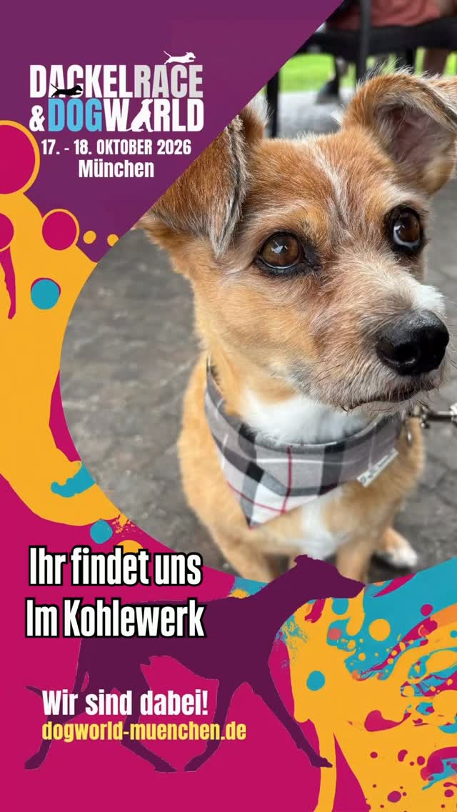 #hundehalstuch #hundeliebe