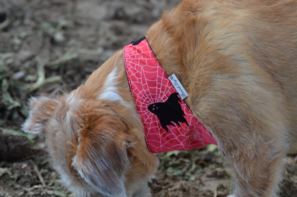 Hundeshop Barock Dog Hundehalstuch Spooky Halloween