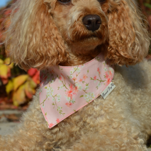 Hundeshop Barock Dog Poopie Kotbeutelspender Asian Flower Rosa