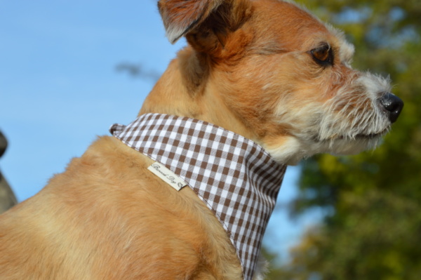 Hundeshop Barock Dog Hundehalstuch Karo Braun