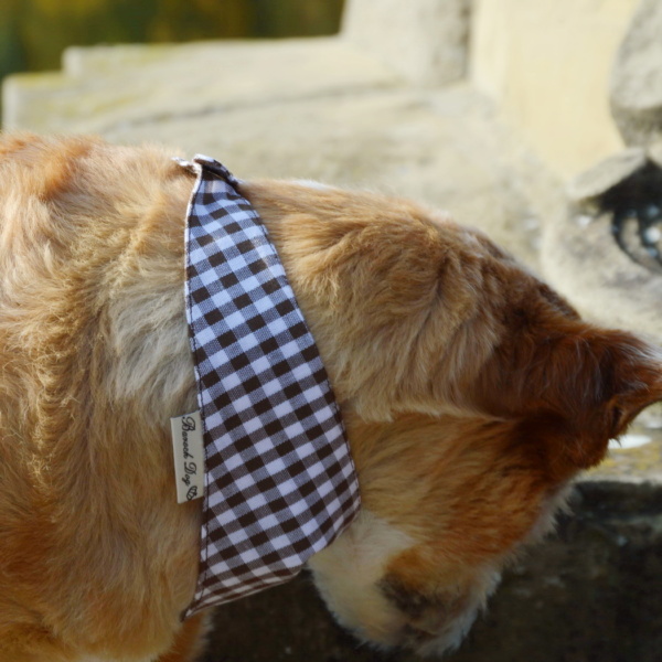 Hundeshop Barock Dog Hundehalstuch Karo Braun