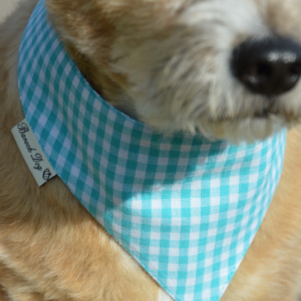 Hundeshop Barock Dog Hundehalstuch Karo Türkis