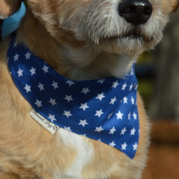 Hundeshop Barock Dog Hundehalstuch Starry Blue