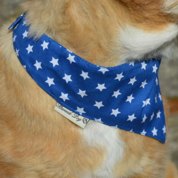 Hundeshop Barock Dog Hundehalstuch Starry Blue