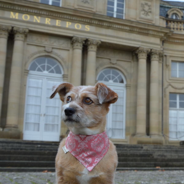 Hundeshop Barock Dog Hundehalstuch Barock Red