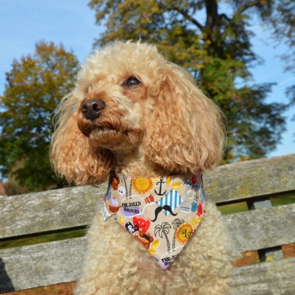 Hundeshop Barock Dog Hundehalstuch Pirate Island