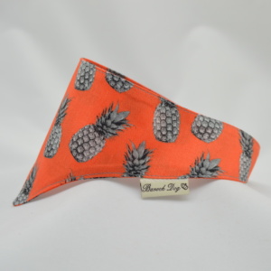 Hundeshop Barock Dog Hundehalstuch Ananas Orange