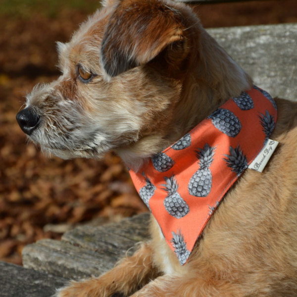 Hundeshop Barock Dog Hundehalstuch Ananas Orange