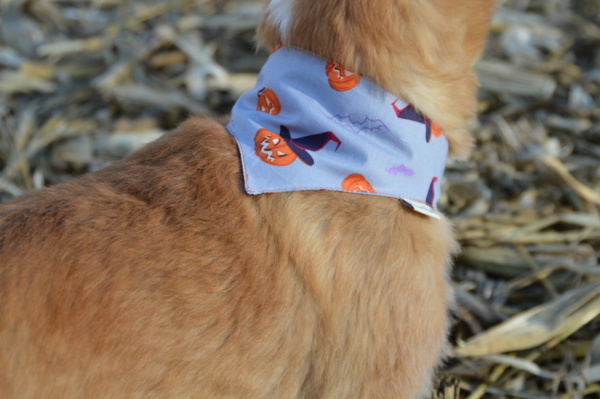 Hundeshop Barock Dog Hundehalstuch Funny Halloween