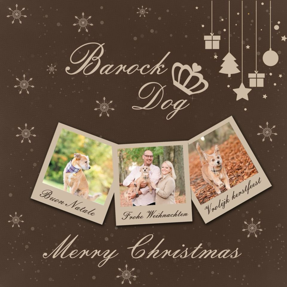 Wir wünschen euch allen frohe Weihnachten 🎄 
#hundeliebe #froheweihnachten #merrychristmas #doglovers #dogshop