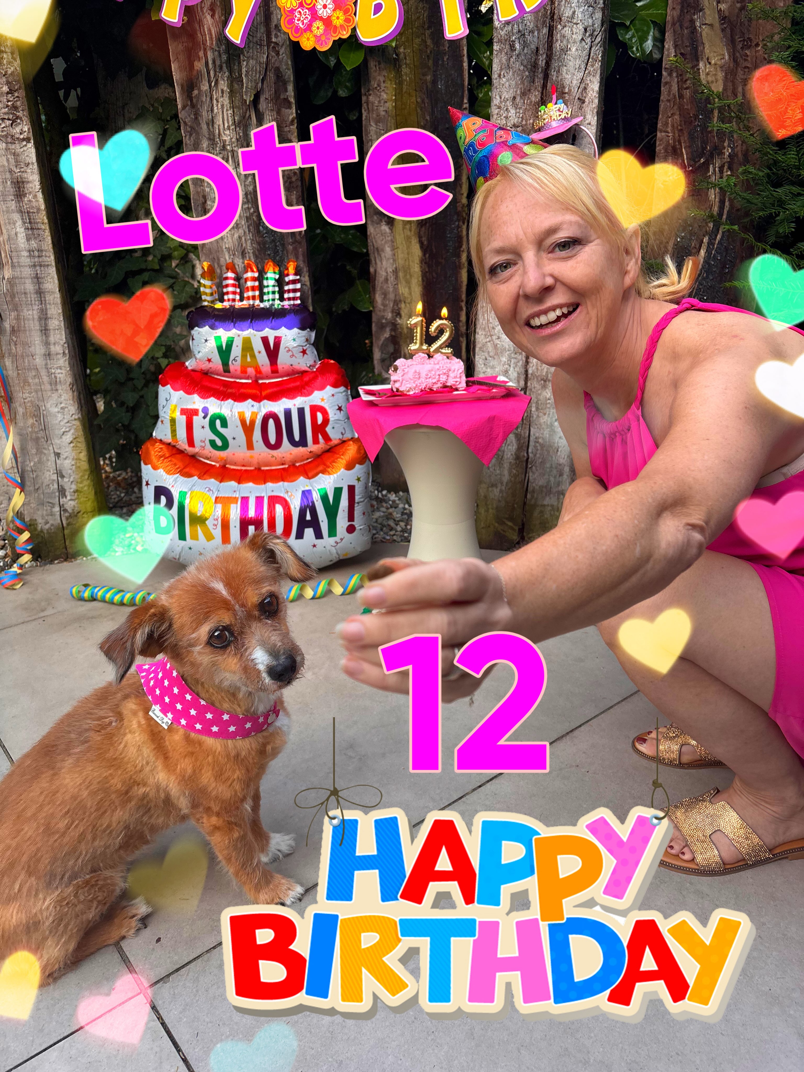Heute habe ich Geburtstag 🎁 
12 Jahre jung und noch immer genauso viel Hunger wie vor 10 Jahre😃😋
#happybirthday #partyhund #happydog #birthdaydog #dogparty
