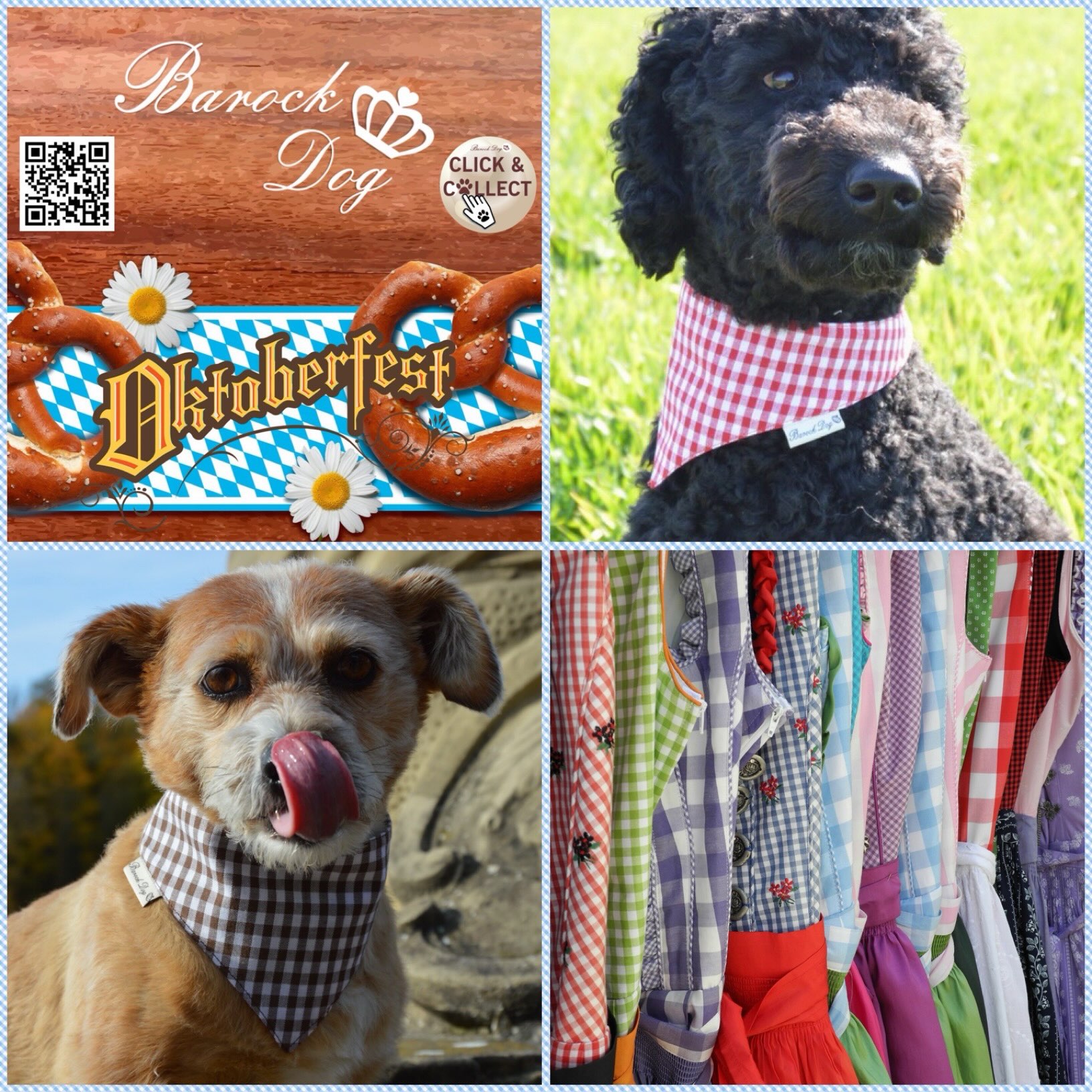 Guten Morgen. Die Wiesn und Wasen sind im volle Gange. Bei uns findet ihr den den Oktoberfest Look für eueren #fellnasen 😀 Passend zum Dirndl vom Frauchen 😎. In unseren Shop haben wir verschiedene Modelle und Größen. Schaut mal vorbei😘 

https://www.barockdog.de/shop/

#hundezubehör #hundehalstuch #herbst #dogshop