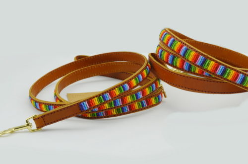 BD_L001_Rainbow (5)