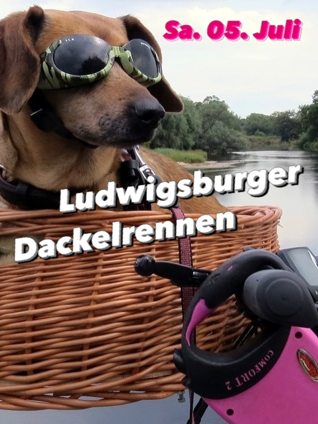 Am Samstag findet in #ludwigsburg das Dackelrennen statt. Beginn 15:00 Uhr auf dem Akademiehof. 
Barock Dog sponsert auch dieses Jahr wieder die Preise für die Gewinner 🥇. 
Kommt vorbei. 
#dackel #dackelliebe #kindertag #hundeliebe